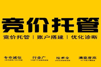 SEM专员实战案例解析